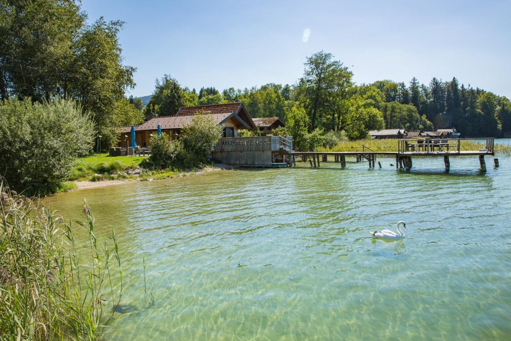 Seewirt Zell am Moos Exteriör bild